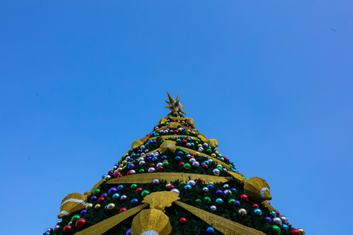 ubpress/image/2025/12/09/b1wls1uf3gr2h9io/Төв